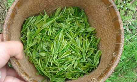 茶葉制品安全溯源技術(shù)之RFID應(yīng)用 茶葉制品安全溯源技術(shù)之RFID應(yīng)用